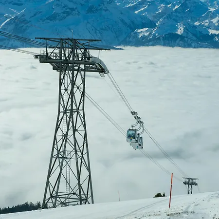 Hotel Berghaus Niederhorn 2*