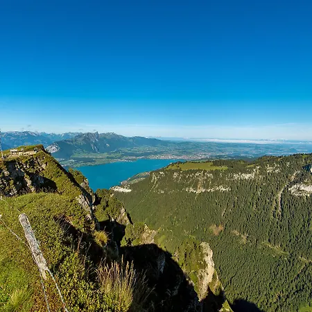 Berghaus Niederhorn بيتنبرغ