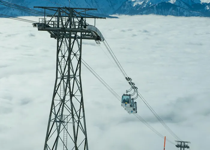 Hotel Berghaus Niederhorn 2*