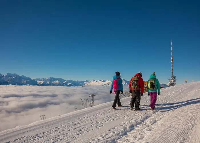 Hotel Berghaus Niederhorn 2*